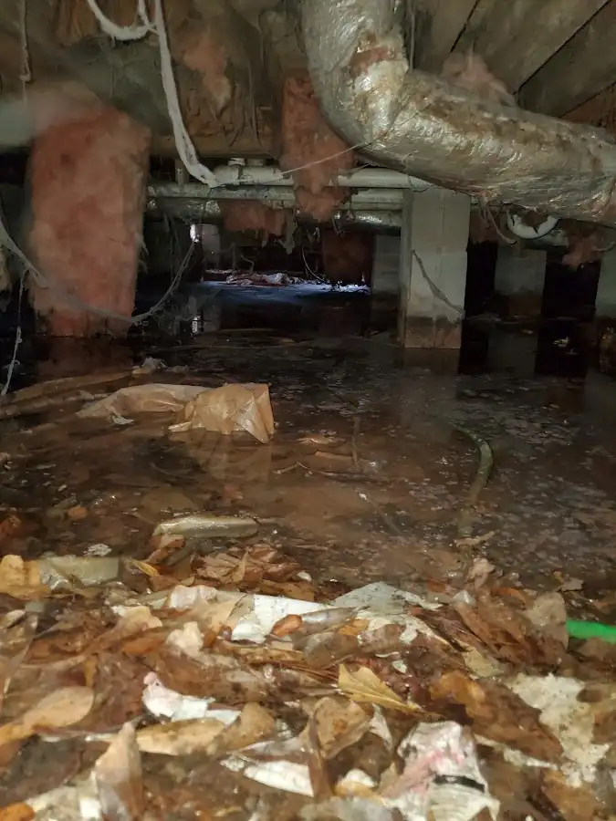 Crawl space flood assessment for Commercial Water Damage Restoration in Oak View