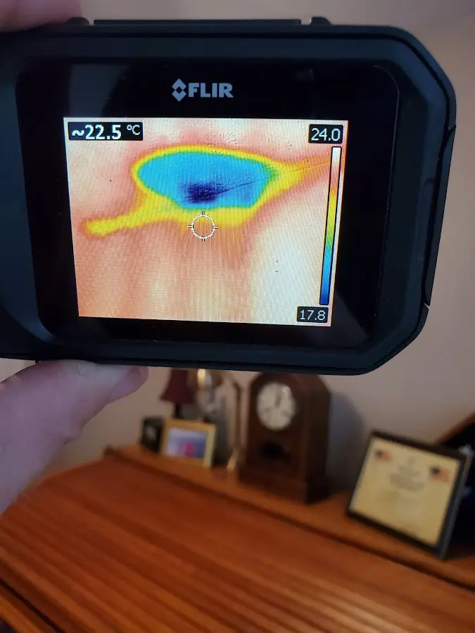 Thermal imaging inspection for water damage in Oak View